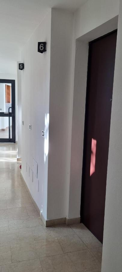 Massarenti Apartments 博洛尼亚 外观 照片